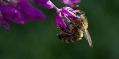 birgitta-roos-1KAP0D3NYI8-unsplash